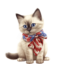 American Cat 4th Of July Cat Patriotic Cats Birman Kitten Hooded Wearable Blanket