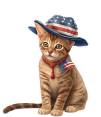 American Cat 4th Of July Cat Patriotic Cats Abyssinian Kitten Kids Hoodie