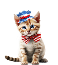 American Cat 4th Of July Cat Patriotic Cats Bengal Kitten T-Shirt