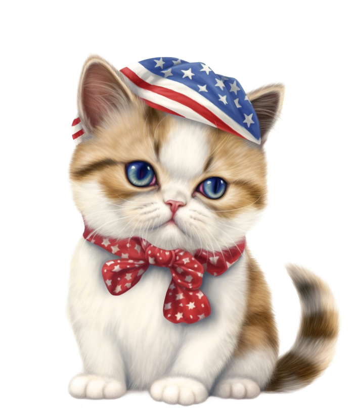 American Cat 4th Of July Cat Patriotic Cats Exotic Shorthair Kitten Women's Tri-Blend 3/4-Sleeve Raglan Shirt