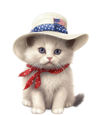 American Cat 4th Of July Cat Patriotic Cats Himalayan Kitten Women's Crop Top Tee