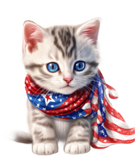 American Cat 4th Of July Cat Patriotic Cats Somali Kitten T-Shirt