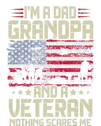 I'm A Dad Grandpa And Veteran Fathers Day Papa Grandpa Poster