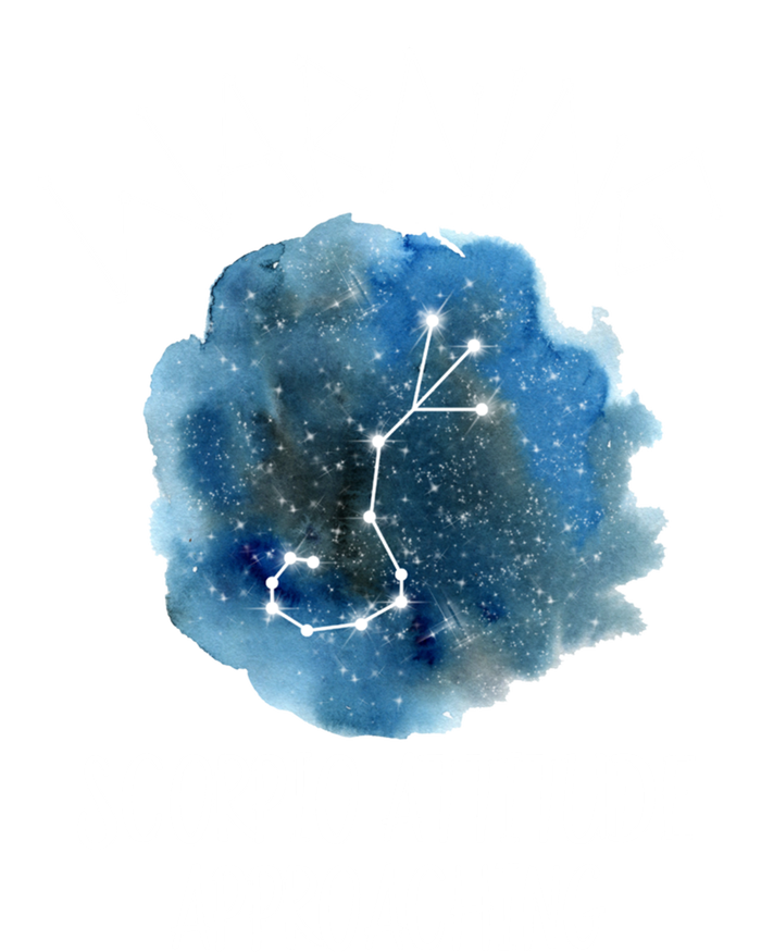 Scorpio Zodiac Constellation Aesthetic Scorpio Stuff Great Gift T-Shirt