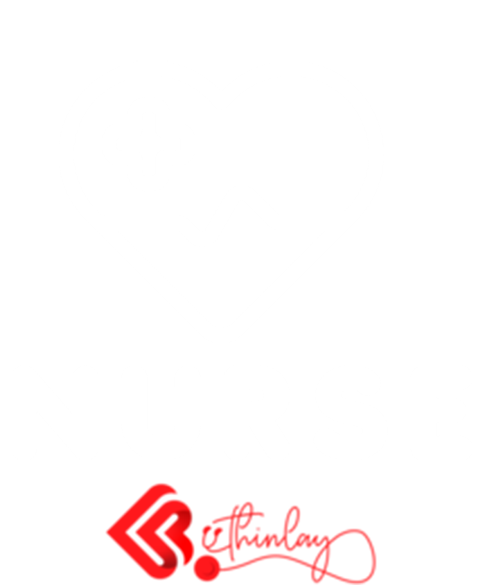 Nurse Funny Gift Women's V-Neck T-Shirt