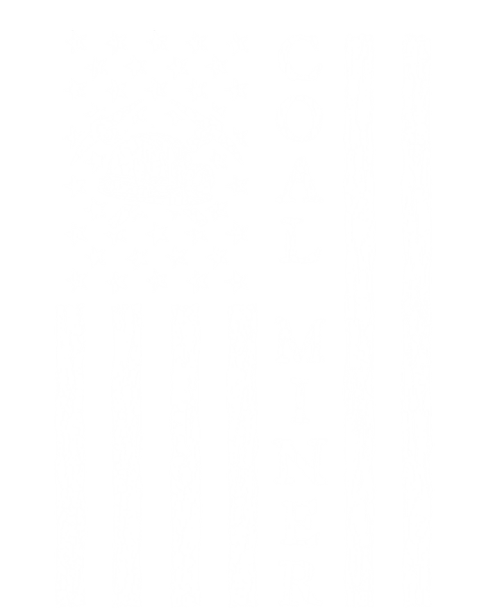 American Coal Miner Usa Flag Funny Mining Miner Gift Tall T-Shirt