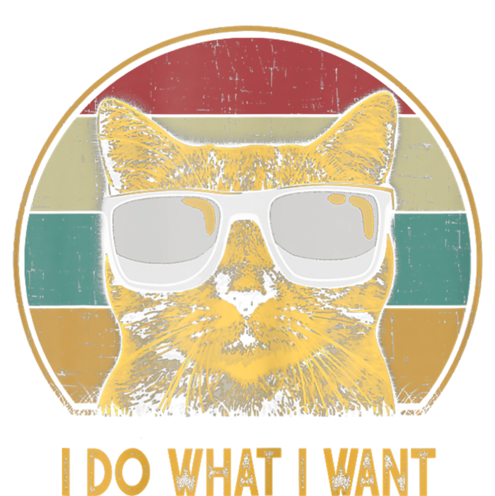 Retro I Do What I Want Cat Funny Cat Lover T-Shirt