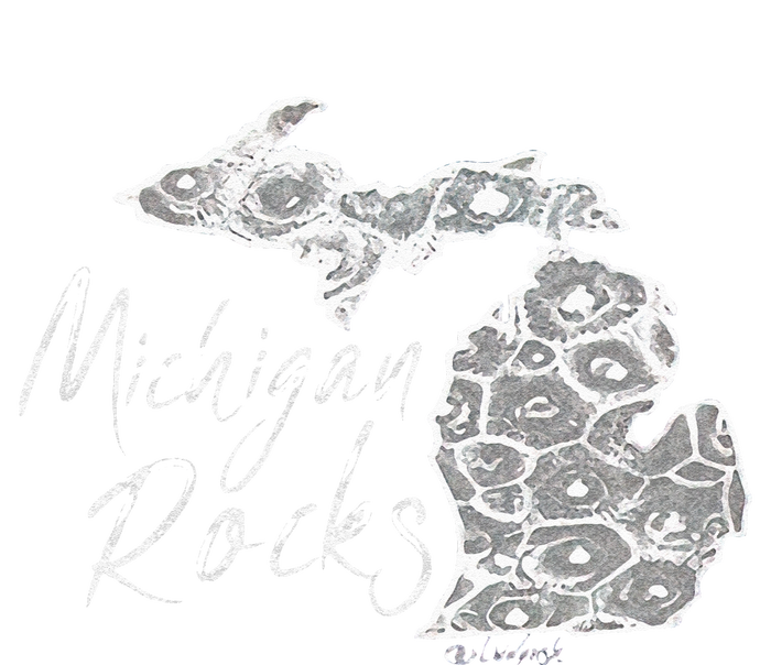 MICHIGAN ROCKS PETOSKEY STONE V-Neck T-Shirt