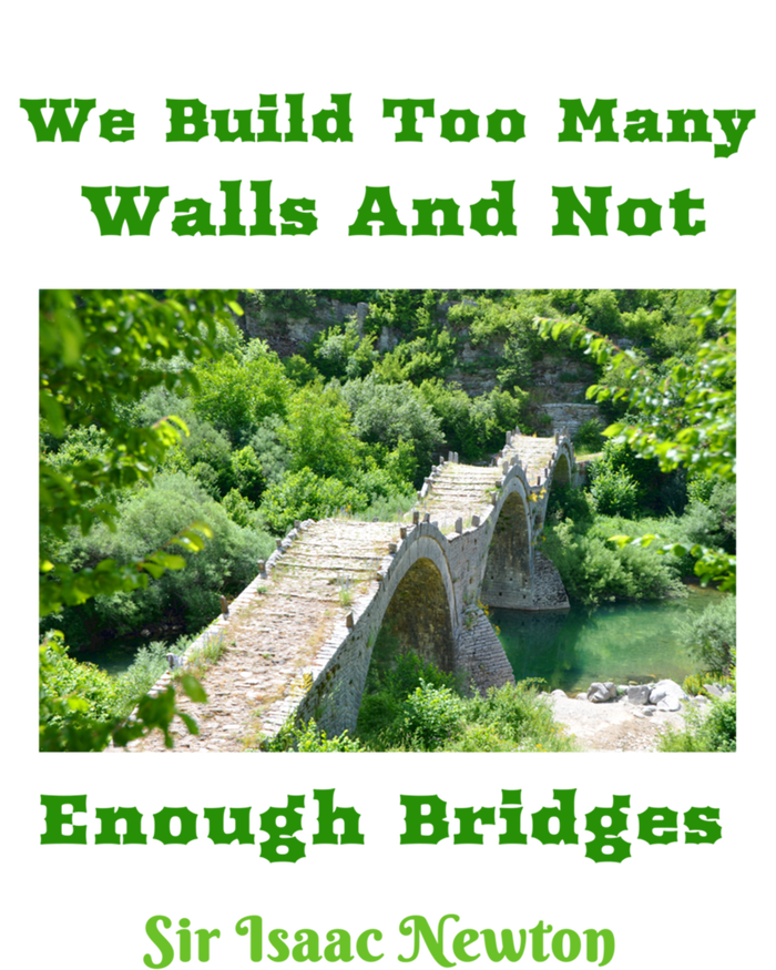 Build Too Y Walls Not Enough Bridgesr Isaac Newton Quote Gift T-Shirt