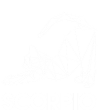 Scorpio Cat Astrology Sign Gift T-Shirt