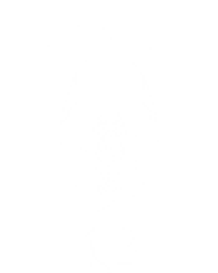 Scorpio Fortuneteller Great Gift T-Shirt