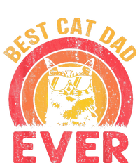 Best Cat Dad Ever Vintage Cat Daddy Fathers Day Women's Tri-Blend 3/4-Sleeve Raglan Shirt