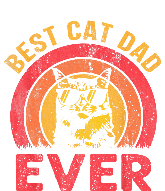 Best Cat Dad Ever Vintage Cat Daddy Fathers Day Women's Tri-Blend 3/4-Sleeve Raglan Shirt