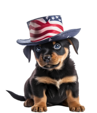 Rottweiler Dog Rottie Puppy USA Flag Cute Rottweilers Dogs 25L Jumbo Tote