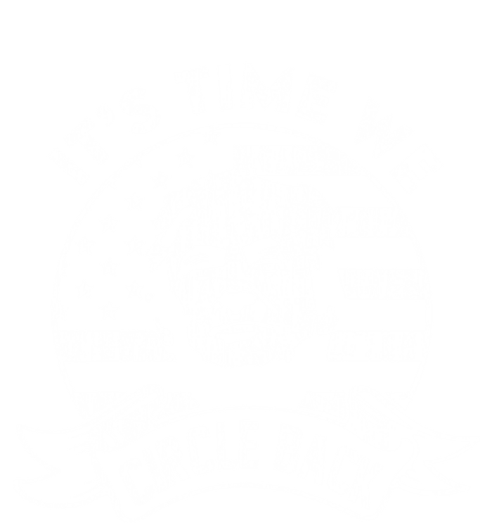 Its Time We Circle Back Trump Usa Flag Retro 4th Of July Cool Gift 16 in Basic Backpack