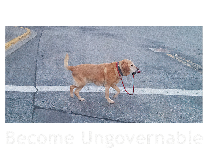 Become Ungovernable Funny Dog Meme T-Shirt