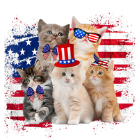 Funny Cat Patriotic USA Cat Lovers Cat Moms 4th July Valucap Bio-Washed Visor