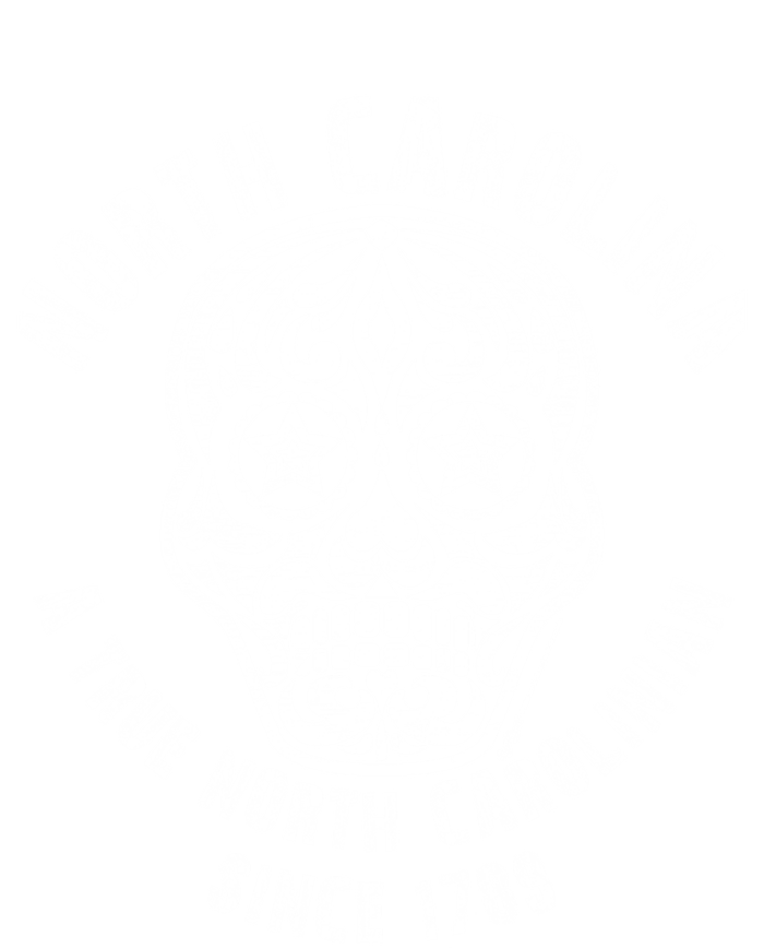 Vintage North Carolina A True 4th Of July Skull Meaningful Gift T-Shirt