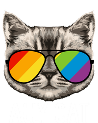 Ally Ca Ally Cat Lgbtq+ Lgbt Flag Lgbt Ally Cat Gift Insulated Varsity Jacket