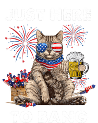 Just Here To Bang USA Flag Funny Beer 4th Of July Cat Love Women's Pullover Hoodie