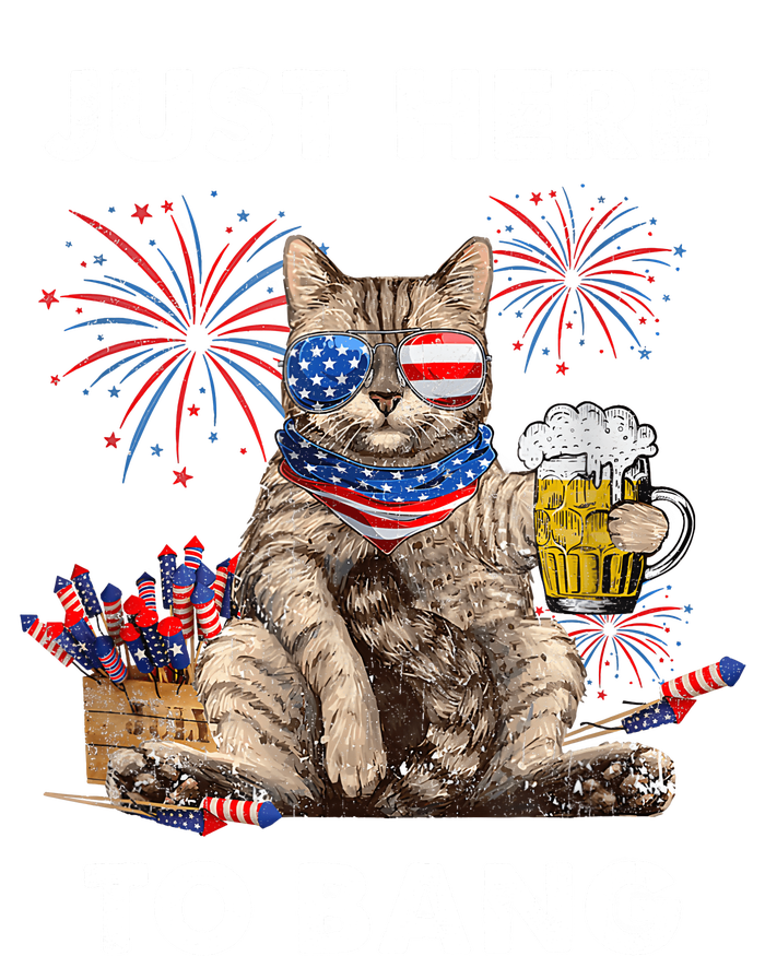 Just Here To Bang USA Flag Funny Beer 4th Of July Cat Love Women's Pullover Hoodie