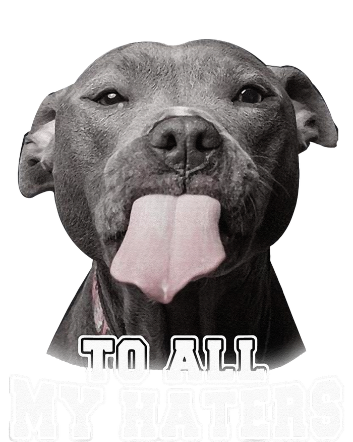 Funny Pitbull To All My Haters Pitbull Dog Lover Gift Mesh Reversible Basketball Jersey Tank