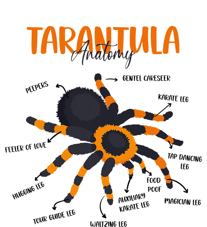 Anatomy Of Tarantula Spider Arthropod Arachnid Arachnophile Womens Cotton Relaxed Long Sleeve T-Shirt