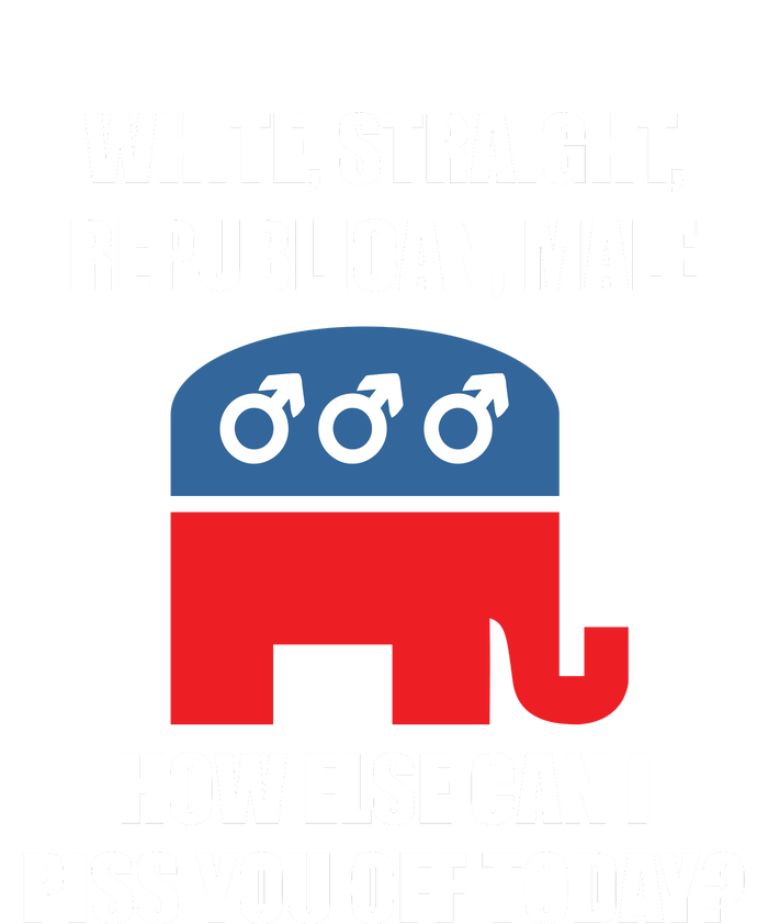 White Male Straight Republican | Funny Republican Gifts Sweatshirt