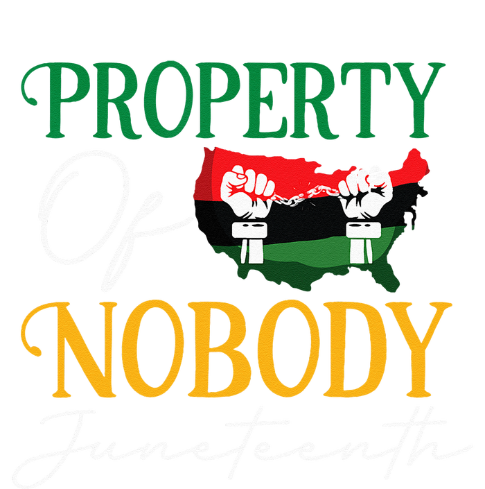 Juneteenth Freedom Melanin Black Women Property Of Nobody Toddler Zip Fleece Hoodie