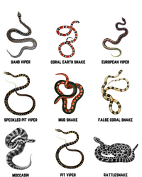 9 Snakes Snake Lover Snake Snake Magnet