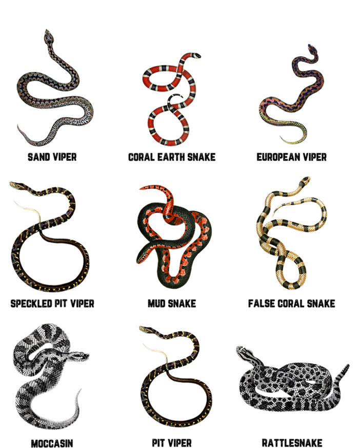 9 Snakes Snake Lover Snake Snake Magnet