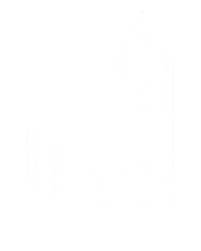 Vintage American Flag Wrestling Patriotic Wrestler Gift T-Shirt