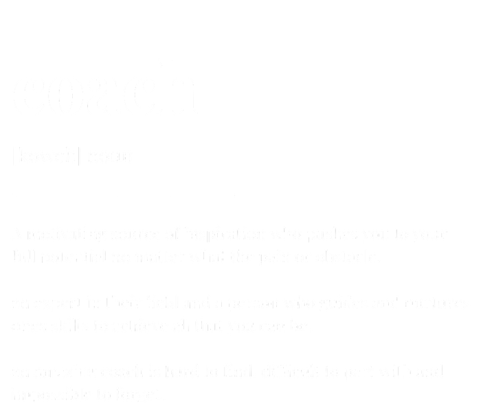 Coach Definition Dictionary Design Premium Hoodie