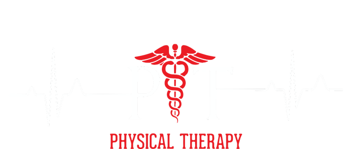 Physical Therapy Heartbeat Shirts Gift For Physical Therapist Premium Hoodie