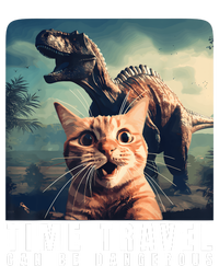 Crazy Cat Selfie Run Time Travel Can Be Dangerous Cat Love T-Shirt