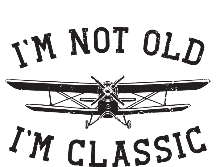 Funny Biplane Im Not Old Im Classic Vintage Airplane Pilot Womens Funnel Neck Pullover Hood