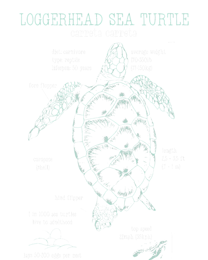 Loggerhead Sea Turtle Anatomy Gift Marine Biologist T-Shirt