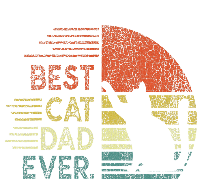 Funny Cat Daddy Fathers Day Cat Best Cat Dad Ever Women's V-Neck T-Shirt