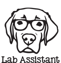 Lab Assistant Labrador Lover Gift Labrador Retriever Dog Womens California Wash Sweatshirt