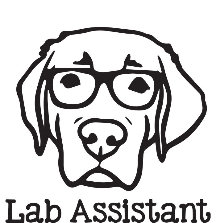 Lab Assistant Labrador Lover Gift Labrador Retriever Dog Womens California Wash Sweatshirt