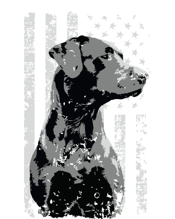 Patriotic USA Flag Black Labrador Gift For Lab Owners Short Sleeve T-Shirt