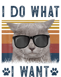 Funny Cat I Do What I Want Cat Retro 90s Cat Lovers Gift T-Shirt