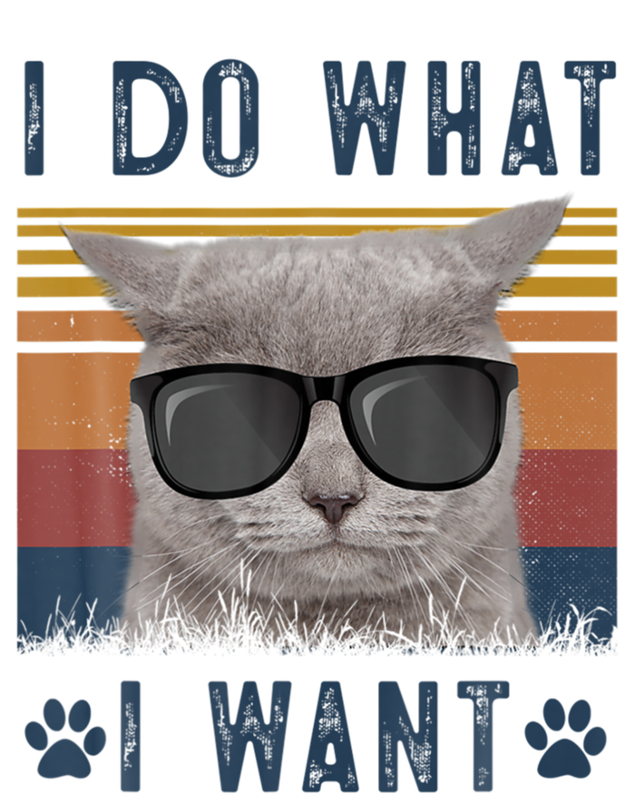 Funny Cat I Do What I Want Cat Retro 90s Cat Lovers Gift T-Shirt