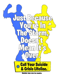 Just Because Youre In The Storm Doesnt Mean Its Over T-Shirt