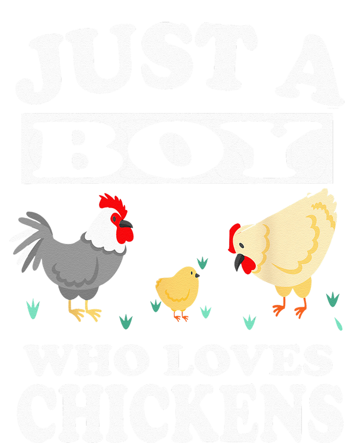 Just A Boy Who Loves Chickens Farm Chicken Gift Valucap Bio-Washed Visor