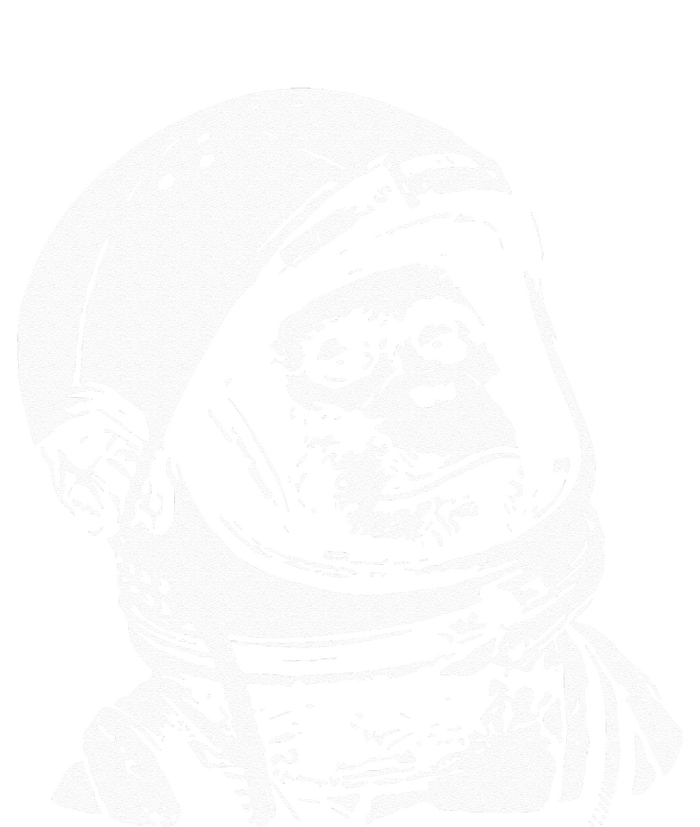 Vintage Space Travel Astronaut Monkey Legacy Cool Fit Booney Bucket Hat