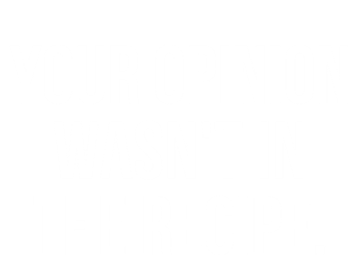 Funny Chef Cook Gift Your Opinion Wasnt In The Recipe Gift T-Shirt