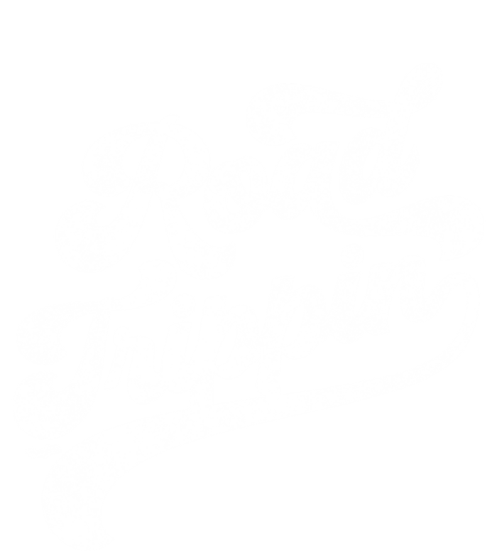 Road Trippin Cool Retro Vintage Road Trip Distressed Cool Gift Ladies Long Sleeve Shirt