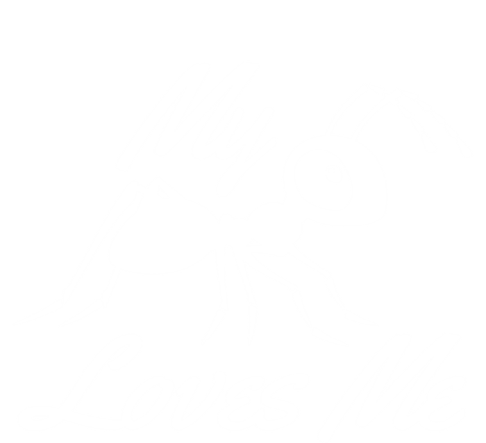 Ant Lovers My Aunt Loves Me For Nephew Niece Gift Funny Cute Gift Premium T-Shirt