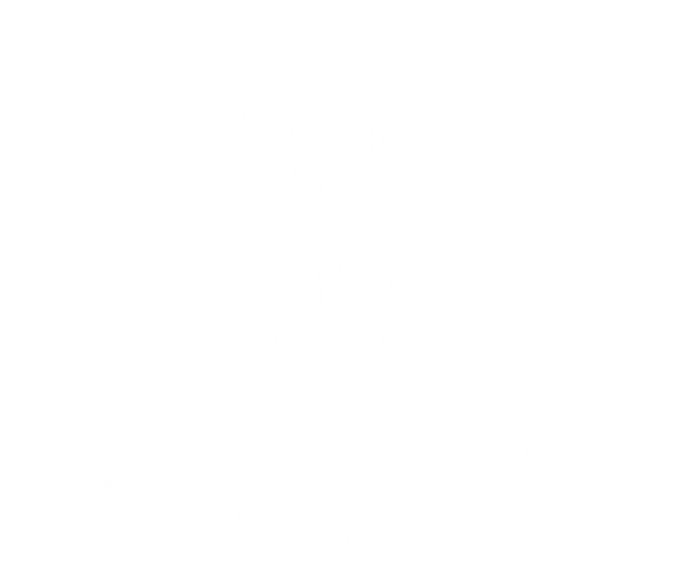 Stay Pawsitive (Positive) Gift Coaster